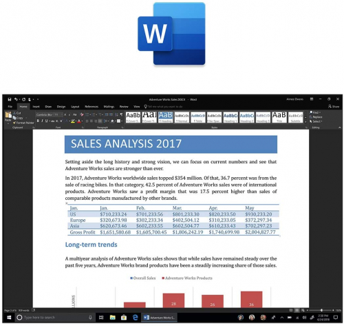 Microsoft Office 2019 Home and Business ESD Windows - 078973PLA-DE
