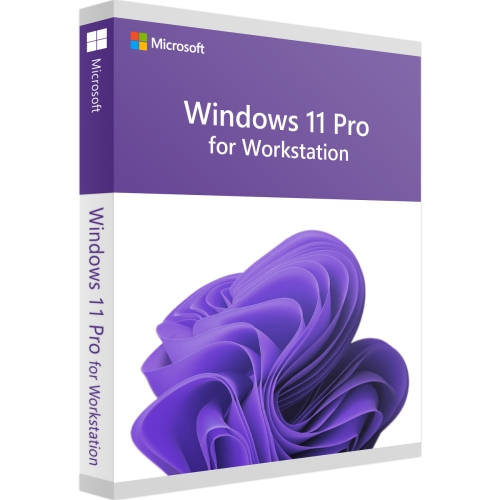 Microsoft Windows 11 Pro for Workstations - 004986