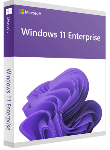 Microsoft Windows 11 Enterprise - 456200