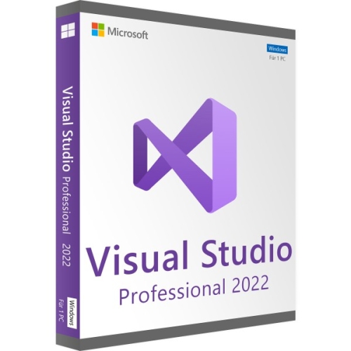 Microsoft Visual Studio 2022 Professional - 045619