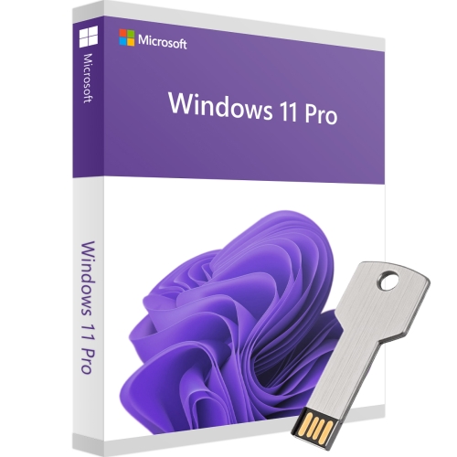 Microsoft Windows 11 Pro inkl. USB-Stick - 876679